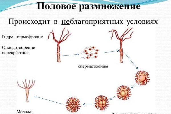 Kraken darknet market ссылка тор