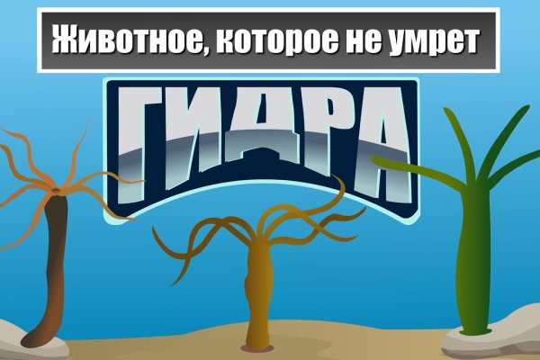 Кракен телегрф