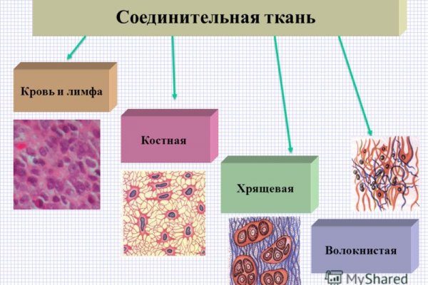 Где взять ссылку на кракен