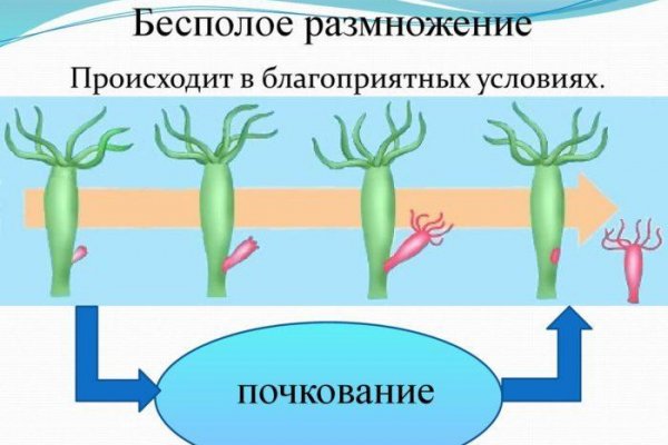 Kraken маркетплейс